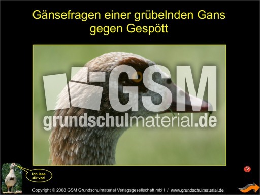 Präsentation-Gänsefragen.pdf